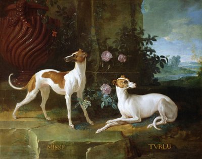 Misse and Turlu, two greyhounds of Louis XV by Jean Baptiste Oudry